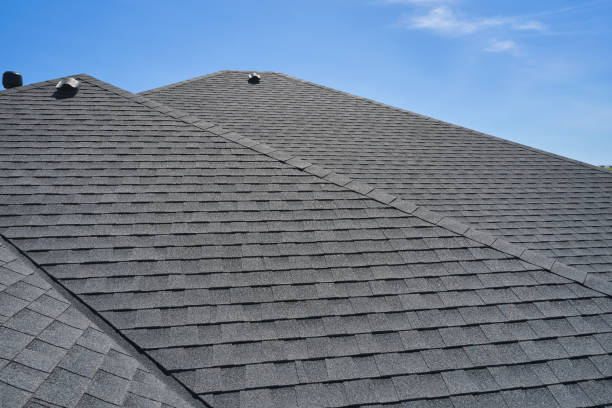 Best 4 Ply Roofing  in USA